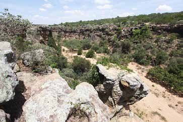 Paisagem de cânion e caatinga, imagem de contexto da primeira etapa.