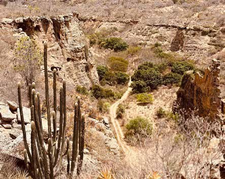 Cactos e paredões na paisagem do segundo dia.